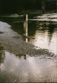 Eine Stele und ihre Spiegelung
